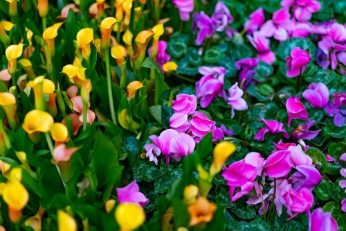 Extended Stay America Suites - Las Vegas - Valley View image 8